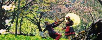 Tourists are enjoying Sapa trekking and homestay - TL208 